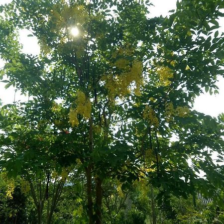 Hotel Kum Nangpaya Kaeng Krachan Exteriér fotografie